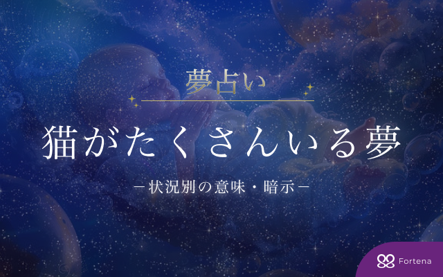 【75状況を徹底解説】猫がたくさんいる夢占いの意味と暗示