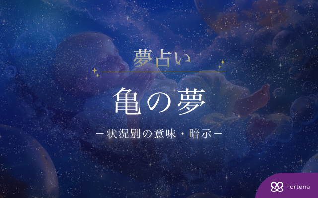 【亀の夢占い】亀の夢30の意味・心理と暗示を詳しく深掘り解説